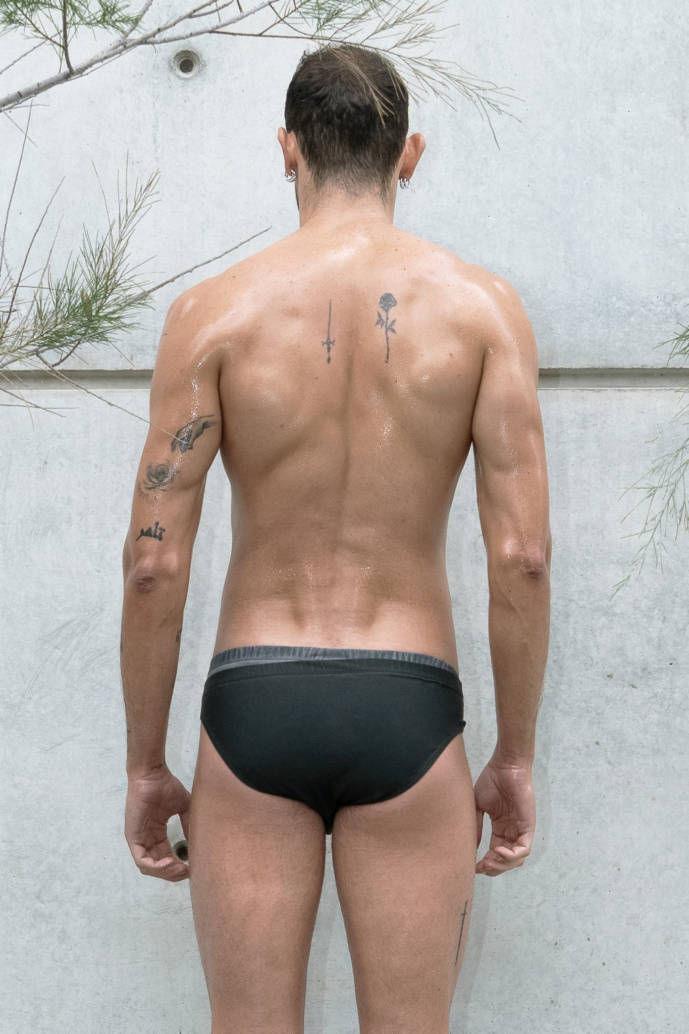 David Briefs