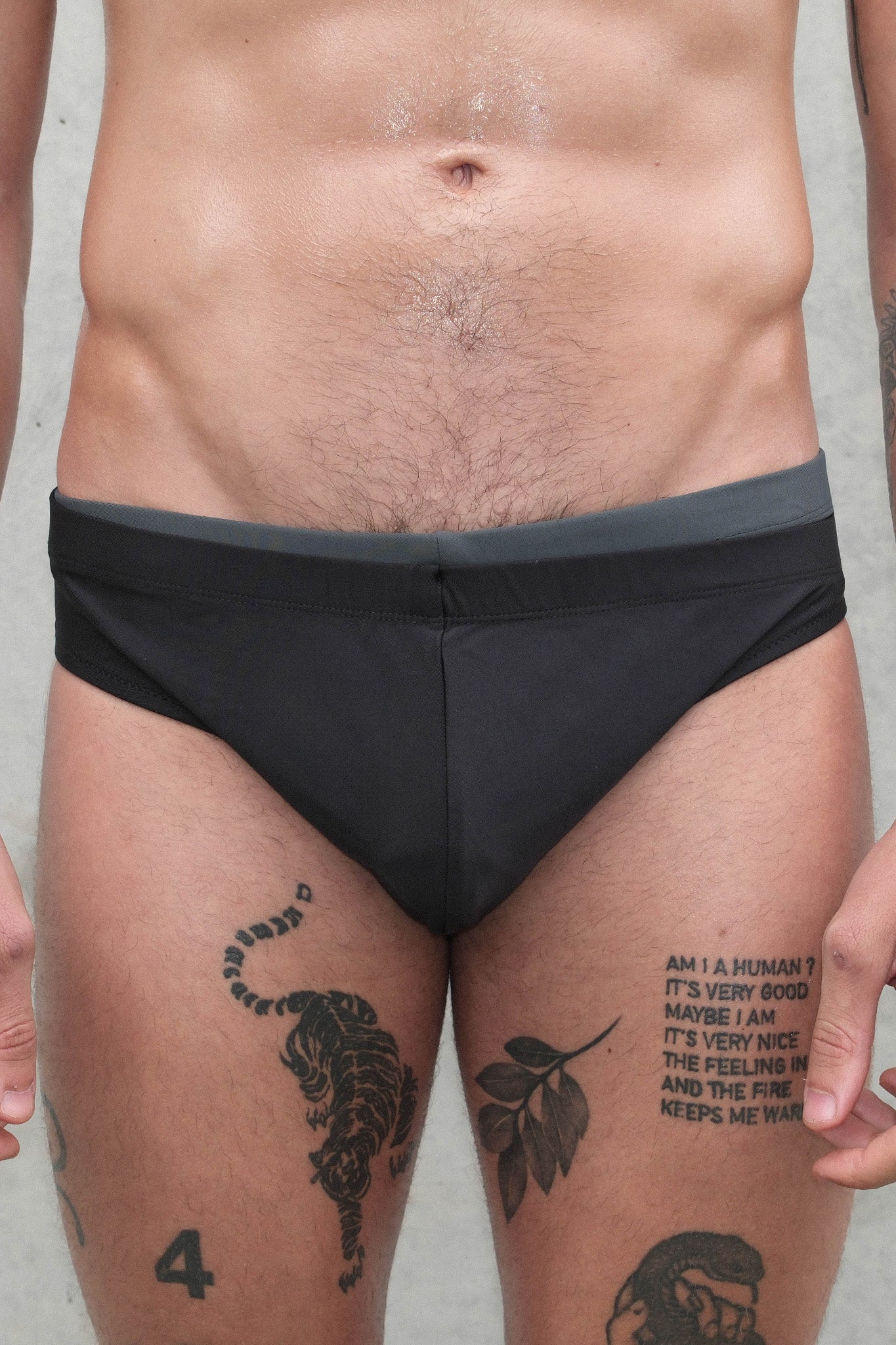 David Briefs